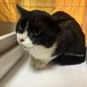  サムネイル2