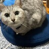  サムネイル2