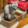  サムネイル3