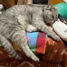 サムネイル5