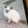  サムネイル2