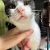  サムネイル4
