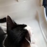  サムネイル3