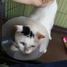  サムネイル2
